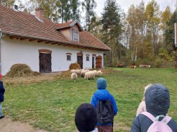 56462116112797513572861439166023112939870598n